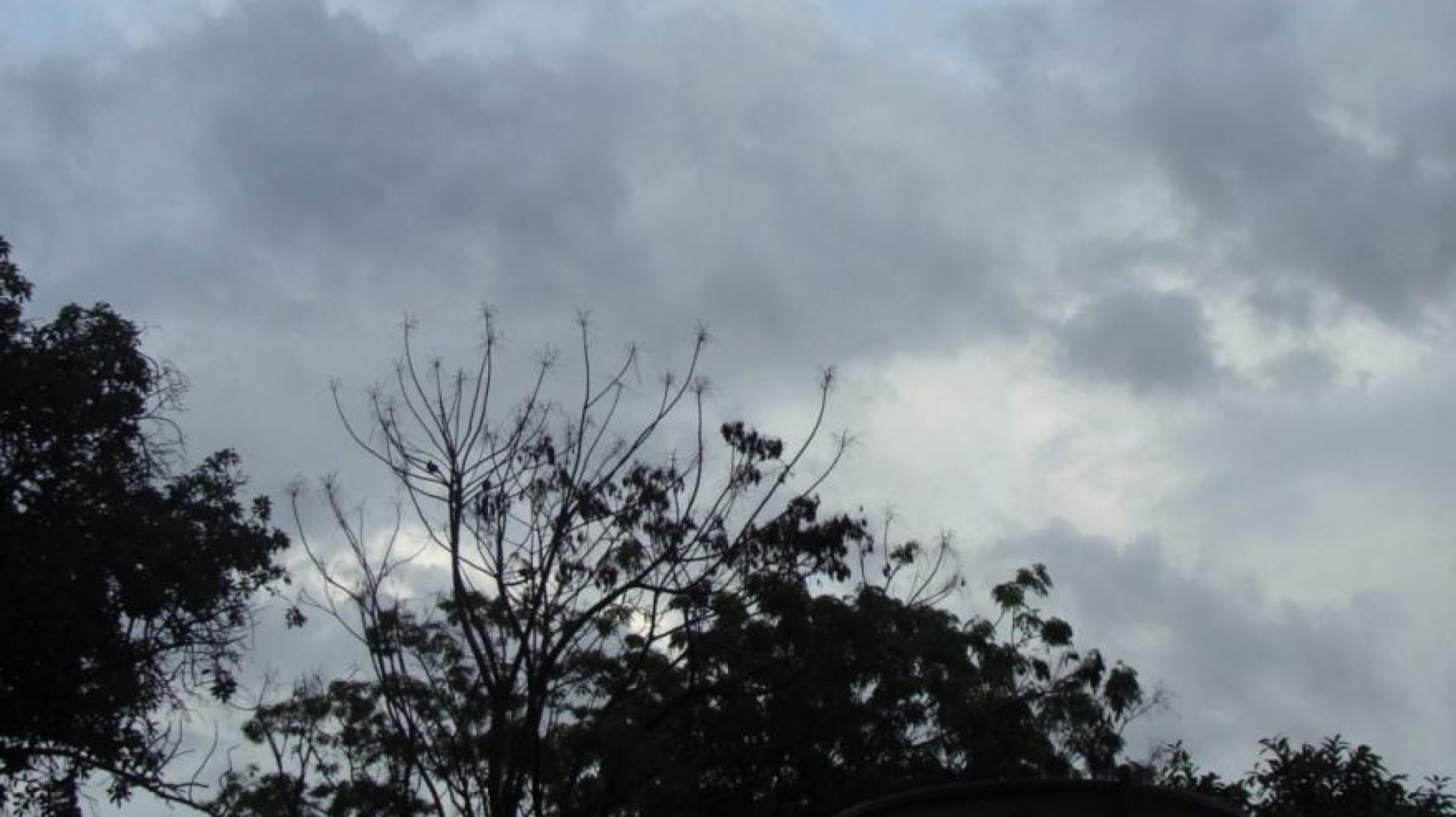 Jornada fresca y ventosa con alerta de heladas para el fin de semana